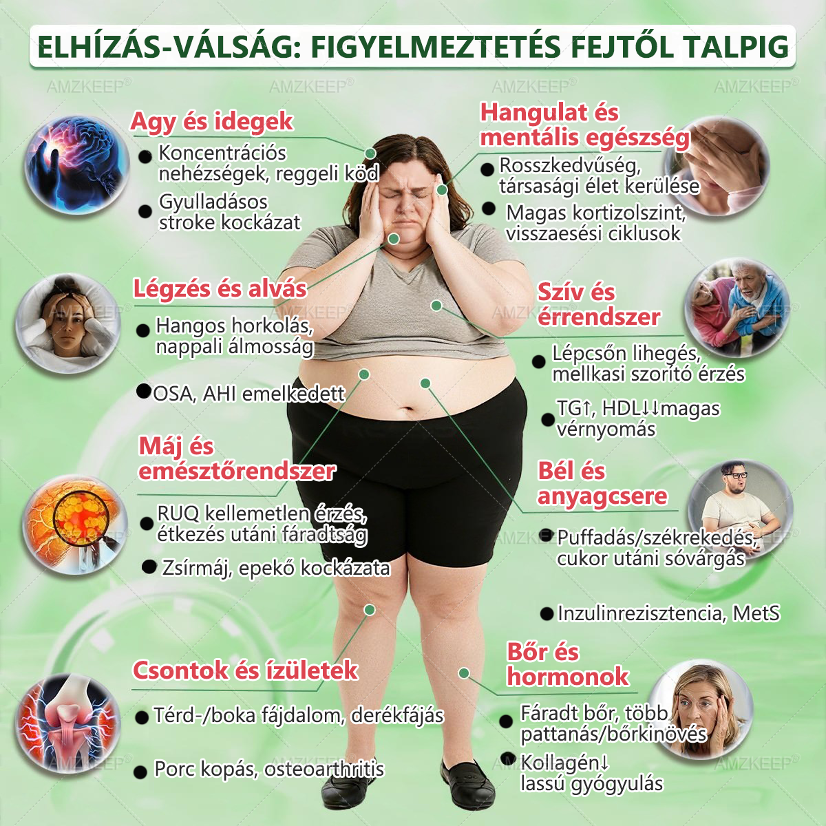 🇭🇺 𝐎𝐫𝐯𝐨𝐬𝐨𝐤 á𝐥𝐭𝐚𝐥 𝐟𝐞𝐣𝐥𝐞𝐬𝐳𝐭𝐞𝐭𝐭 𝐀𝐌𝐙𝐊𝐄𝐄𝐏® 𝐌𝐨𝐫𝐢𝐧𝐠𝐚 + 𝐁𝐞𝐫𝐛𝐞𝐫𝐢𝐧 × 𝐍𝐀𝐃+ 𝟏𝟎-𝐚𝐳-𝟏-𝐛𝐞𝐧 𝐟𝐞𝐣𝐥𝐞𝐭𝐭 𝐧𝐚𝐧𝐨 𝐦𝐢𝐤𝐫𝐨𝐭ű𝐬 𝐭𝐚𝐩𝐚𝐬𝐳 – 𝐥á𝐭𝐡𝐚𝐭ó 𝐞𝐫𝐞𝐝𝐦é𝐧𝐲𝐞𝐤 𝐚𝐤á𝐫 𝟕 𝐧𝐚𝐩 𝐚𝐥𝐚𝐭𝐭! nap alatt!