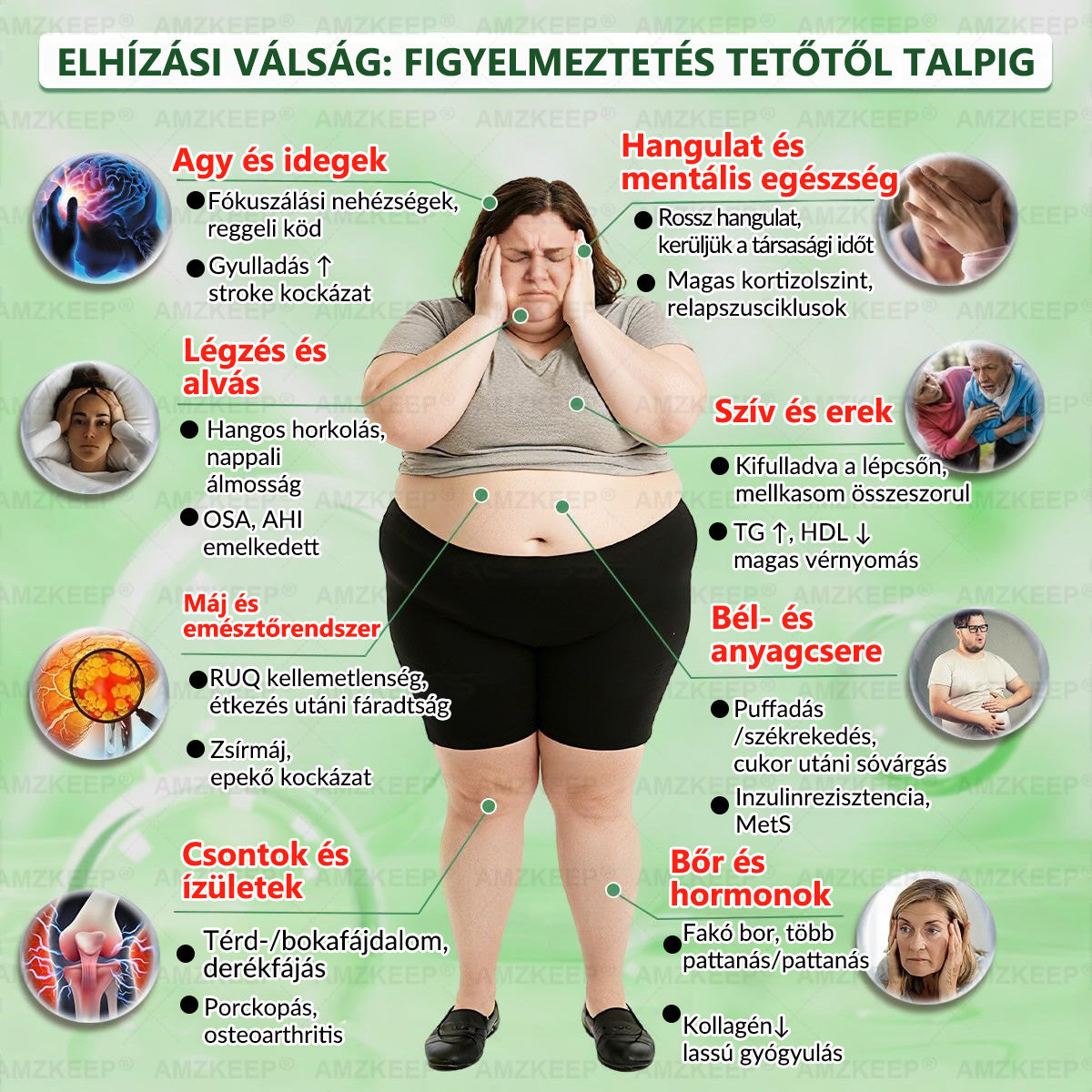 🇭🇺𝐇𝐢𝐯𝐚𝐭𝐚𝐥𝐨𝐬 Á𝐫𝐮𝐡á𝐳| 𝐀𝐌𝐙𝐊𝐄𝐄𝐏® 𝐁𝐞𝐫𝐛𝐞𝐫𝐢𝐧𝐞 × 𝐌𝐨𝐫𝐢𝐧𝐠𝐚 𝐒𝐥𝐢𝐦 & 𝐇𝐞𝐚𝐥𝐭𝐡𝐲 𝐍𝐚𝐧𝐨 𝐌𝐢𝐤𝐫𝐨𝐭ű𝐬 𝐓𝐚𝐩𝐚𝐬𝐳- 𝐍𝐚𝐩𝐨𝐧𝐭𝐚 𝐞𝐠𝐲𝐬𝐳𝐞𝐫, 𝐋á𝐭𝐡𝐚𝐭ó 𝐄𝐫𝐞𝐝𝐦é𝐧𝐲𝐞𝐤 𝟕 𝐍𝐚𝐩𝐨𝐧 𝐁𝐞ü𝐥 (𝐞𝐥𝐡í𝐳á𝐬, 𝐕𝐞𝐬𝐞𝐯𝐞𝐬𝐳𝐭é𝐬, 𝐂𝐮𝐤𝐨𝐫𝐛𝐞𝐭𝐞𝐠𝐬é𝐠, 𝐀𝐥𝐯á𝐬𝐳𝐚𝐯𝐚𝐫𝐨𝐤, 𝐈𝐳ü𝐥𝐞𝐭𝐢 𝐏𝐫𝐨𝐛𝐥é𝐦á𝐤 é𝐬 𝐄𝐠𝐲𝐞𝐛𝐞𝐤)